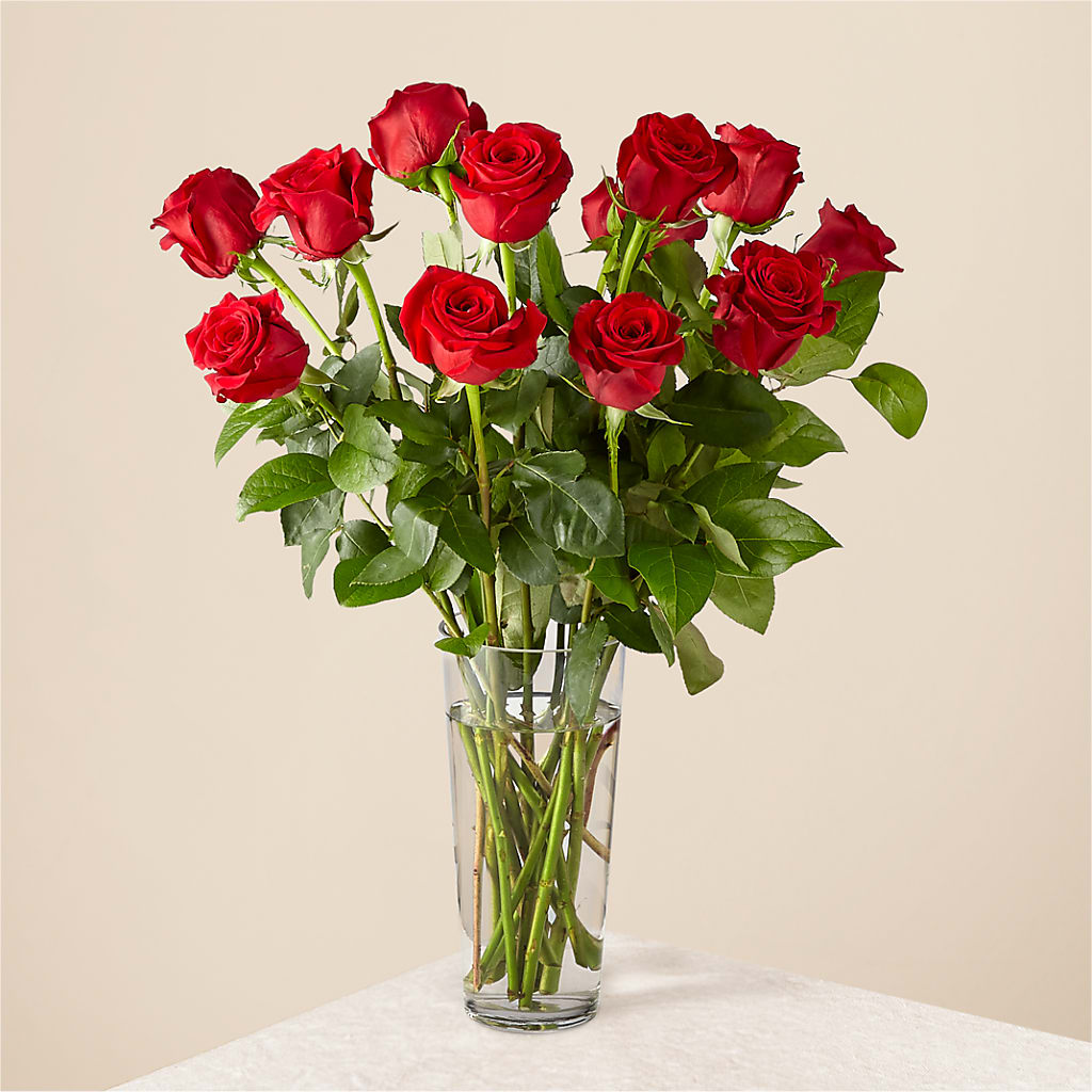 Long Stem Red Rose Bouquet – Coquitlam Florist, Port Coquitlam BC