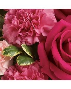 Bonita en rosa