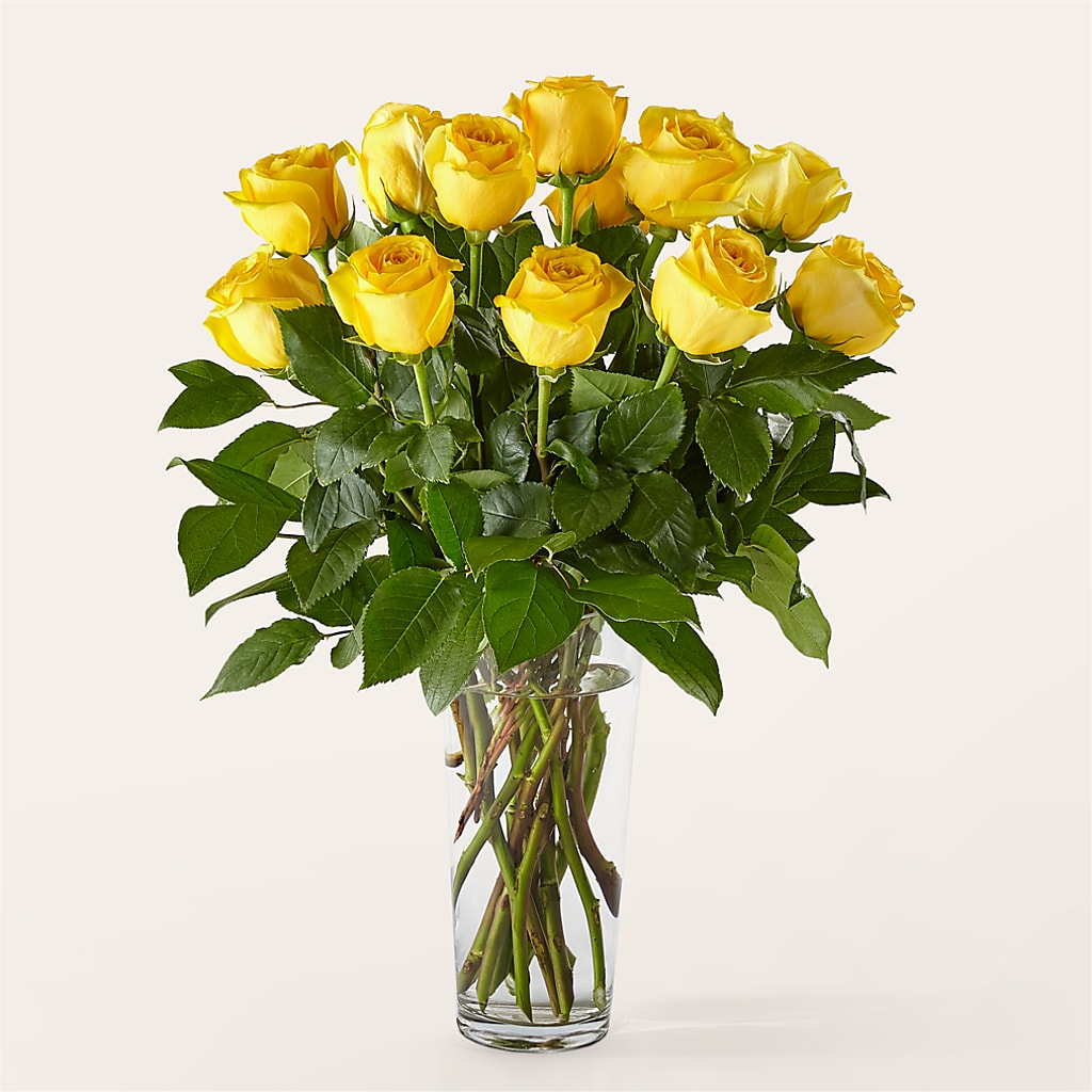 Long Stem Yellow Rose Bouquet – Coquitlam Florist, Port Coquitlam BC