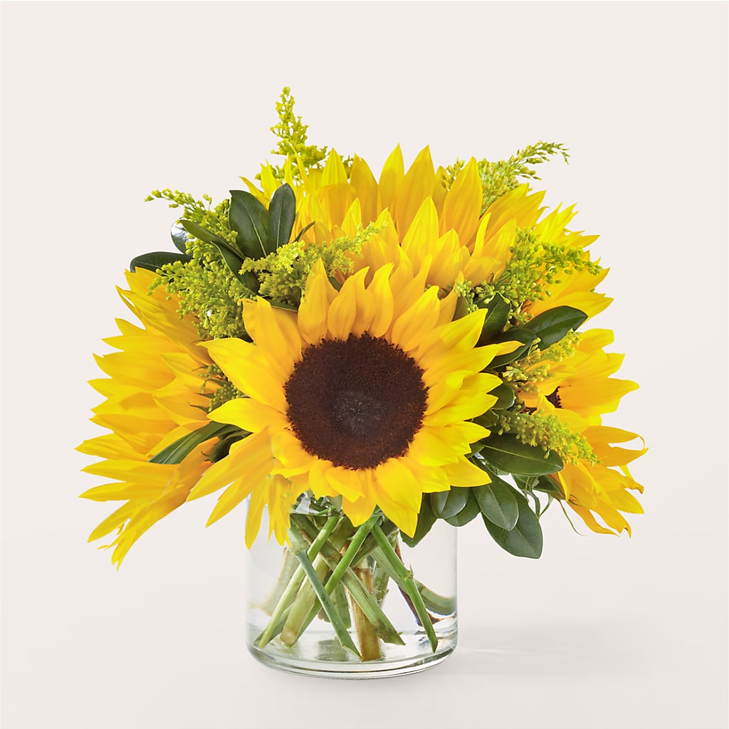 Beaming Sunflower Bouquet – Coquitlam Florist, Port Coquitlam BC