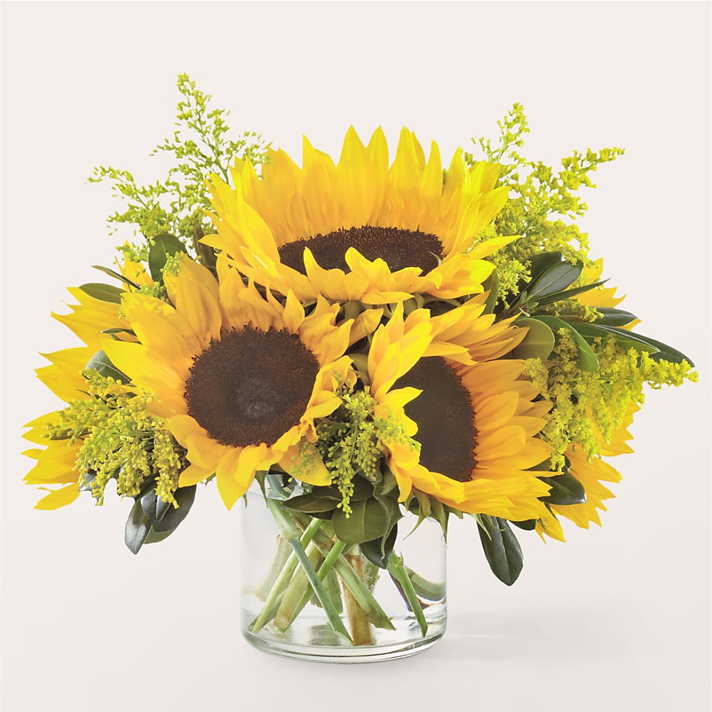Beaming Sunflower Bouquet – Coquitlam Florist, Port Coquitlam BC