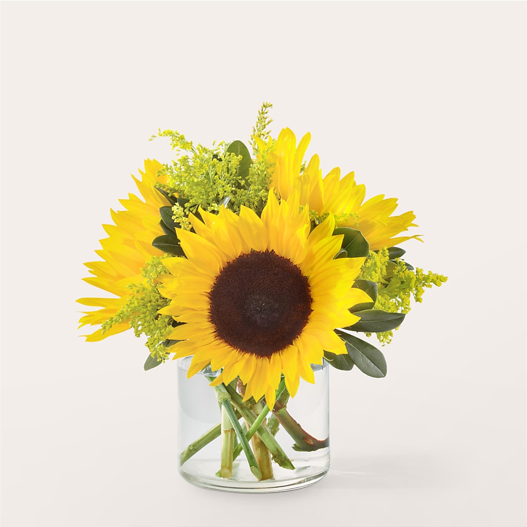 Beaming Sunflower Bouquet – Coquitlam Florist, Port Coquitlam BC