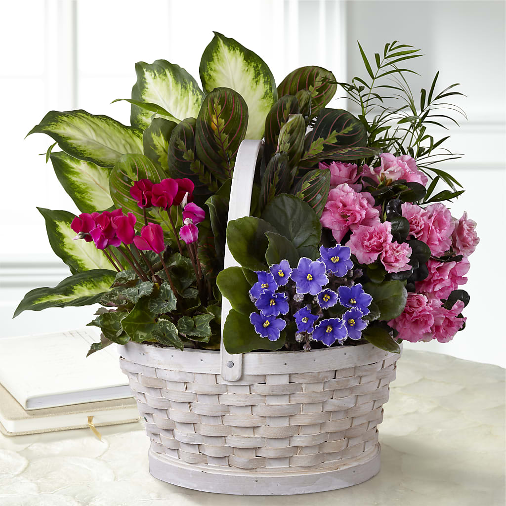Peaceful Garden Planter – Coquitlam Florist, Port Coquitlam BC