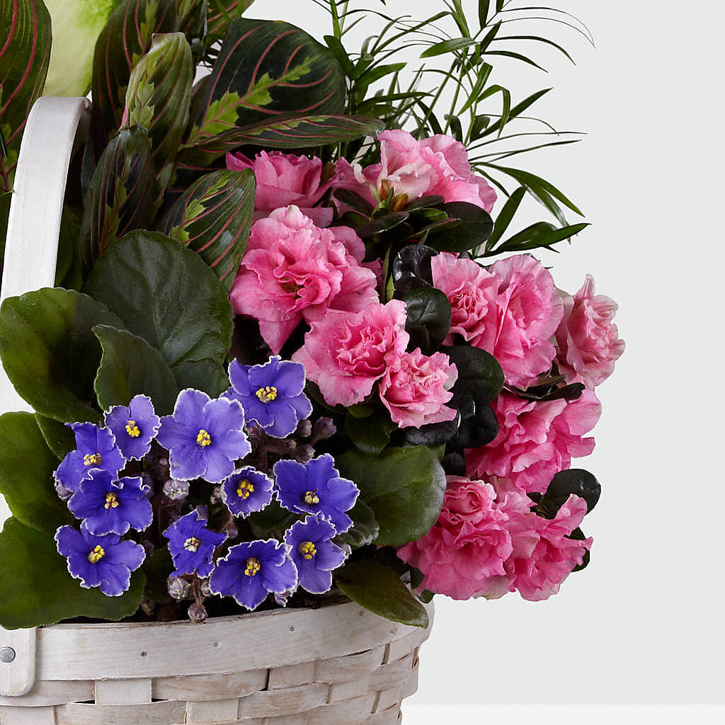 Peaceful Garden Planter – Coquitlam Florist, Port Coquitlam BC