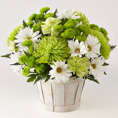 Lucky Charm Basket (Standard) –  Coquitlam Florist, Port Coquitlam BC