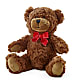 Adorable Plush Bear –  Coquitlam Florist, Port Coquitlam BC