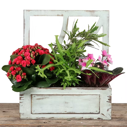 Window Box –  Coquitlam Florist, Port Coquitlam BC