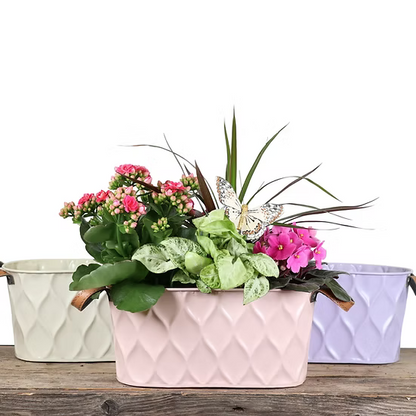 Embossed Diamond Planter –  Coquitlam Florist, Port Coquitlam BC