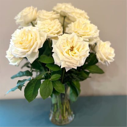 Long Stem Yellow Rose Bouquet –  Coquitlam Florist, Port Coquitlam BC