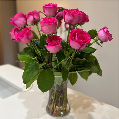 Long Stem Pink Rose Bouquet –  Coquitlam Florist, Port Coquitlam BC
