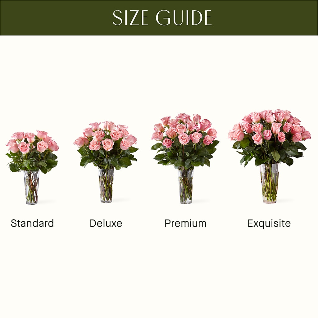 Long Stem Pink Rose Bouquet –  Coquitlam Florist, Port Coquitlam BC