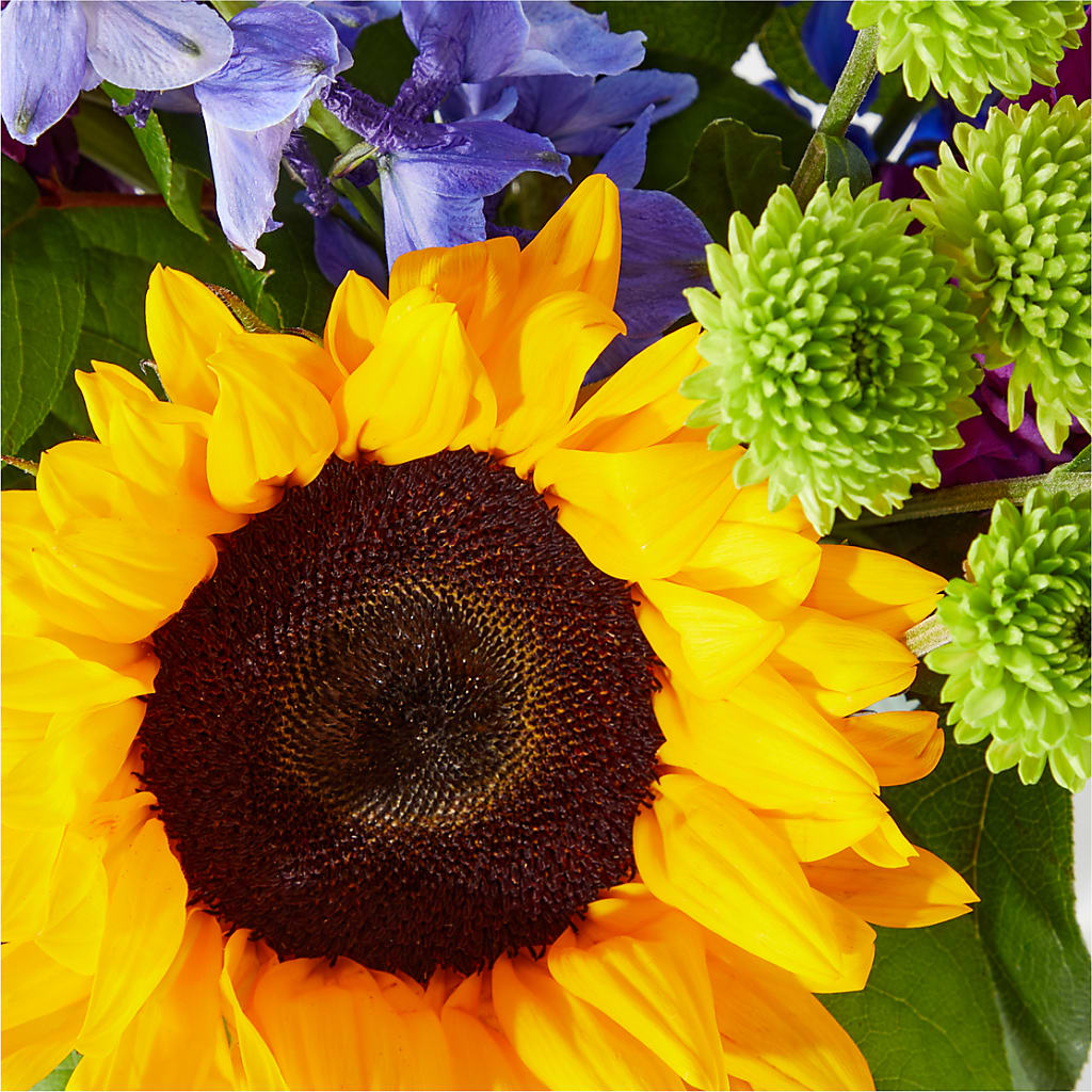 Catching Rays Bouquet –  Coquitlam Florist, Port Coquitlam BC