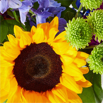 Catching Rays Bouquet –  Coquitlam Florist, Port Coquitlam BC