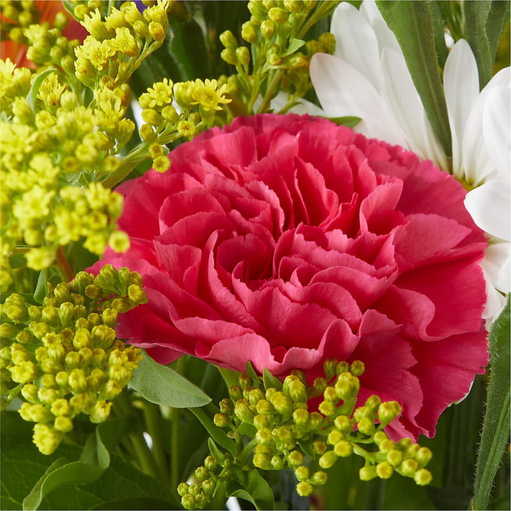 Oopsie Daisy Bouquet –  Coquitlam Florist, Port Coquitlam BC