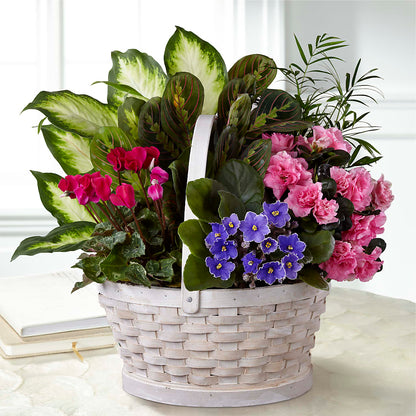 Peaceful Garden Planter –  Coquitlam Florist, Port Coquitlam BC