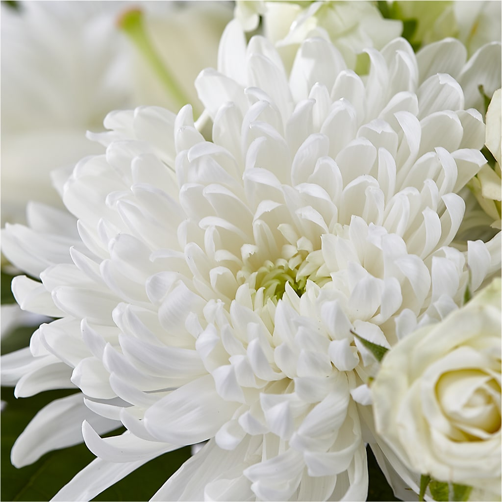Classic Ivory – A Florist Original –  Coquitlam Florist, Port Coquitlam BC