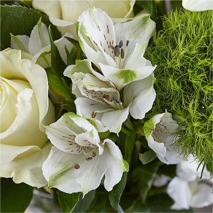 Classic Ivory – A Florist Original –  Coquitlam Florist, Port Coquitlam BC