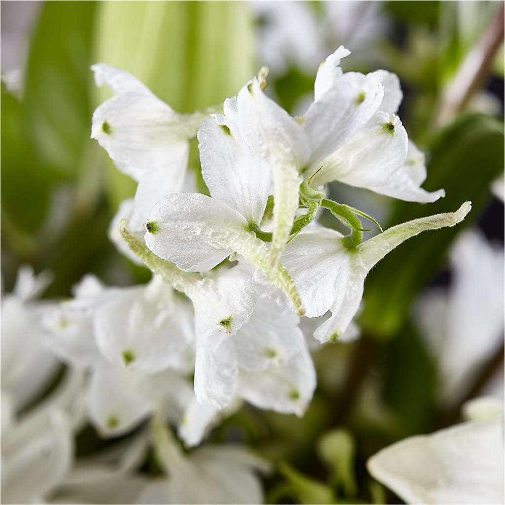 Classic Ivory – A Florist Original –  Coquitlam Florist, Port Coquitlam BC