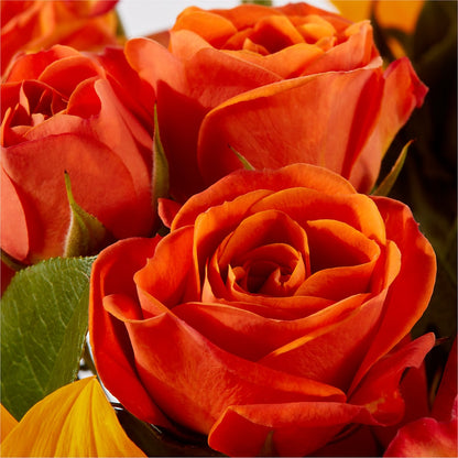 Picnic in the Park Bouquet –  Coquitlam Florist, Port Coquitlam BC
