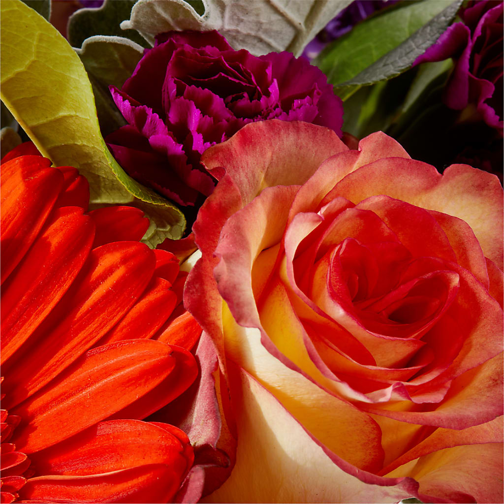 Sangria Bouquet –  Coquitlam Florist, Port Coquitlam BC
