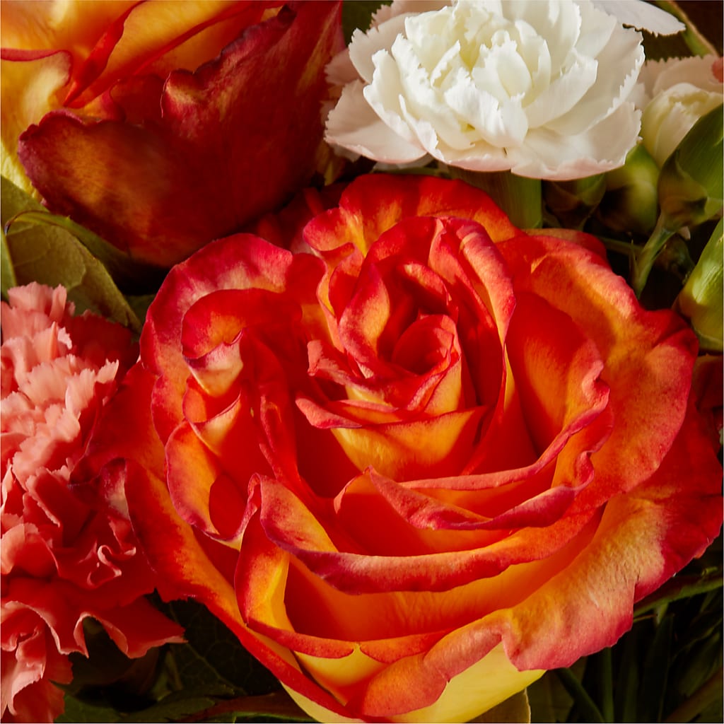 Apricot Glow Bouquet –  Coquitlam Florist, Port Coquitlam BC