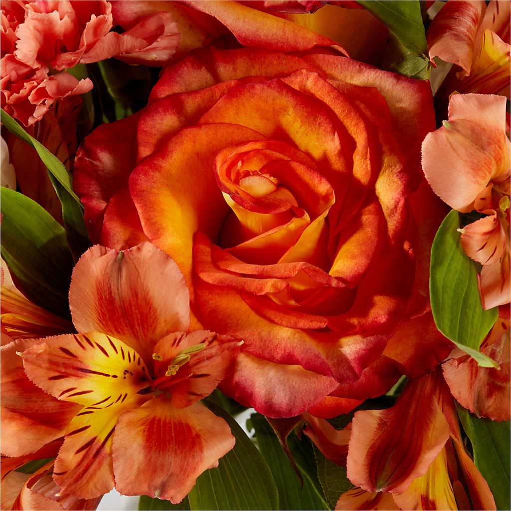 Apricot Glow Bouquet –  Coquitlam Florist, Port Coquitlam BC