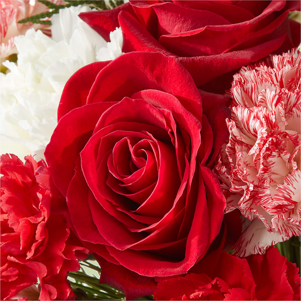 Candy Cane Lane Bouquet –  Coquitlam Florist, Port Coquitlam BC