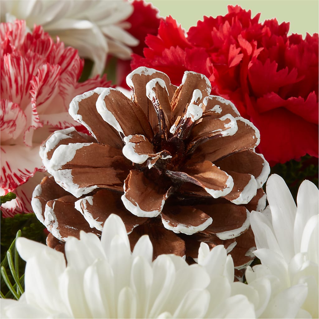 Candy Cane Lane Bouquet –  Coquitlam Florist, Port Coquitlam BC