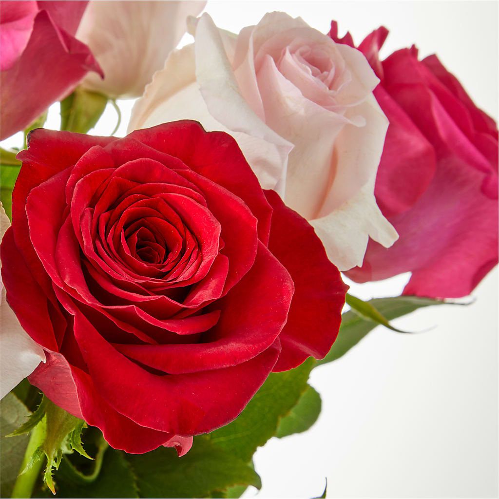 Charming Rose Bouquet –  Coquitlam Florist, Port Coquitlam BC