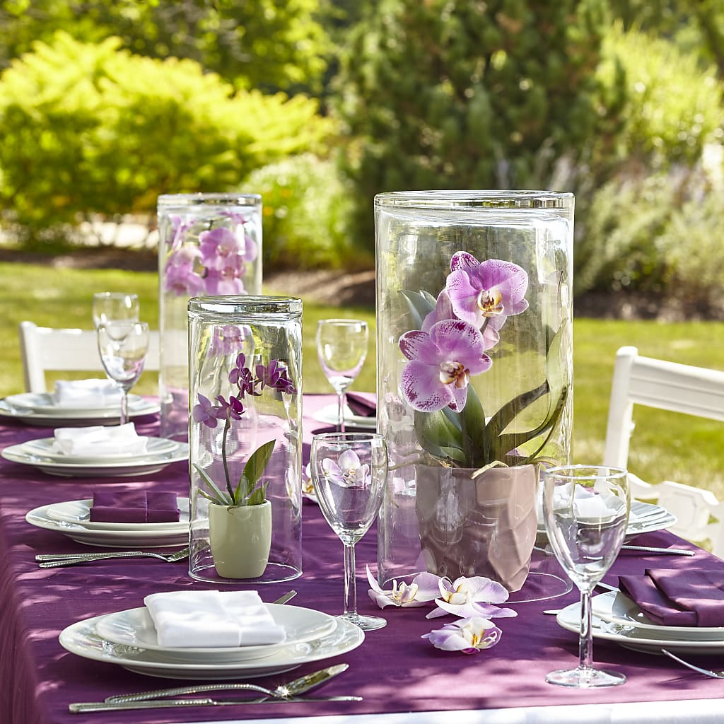 Centre de table de jardin spectaculaire